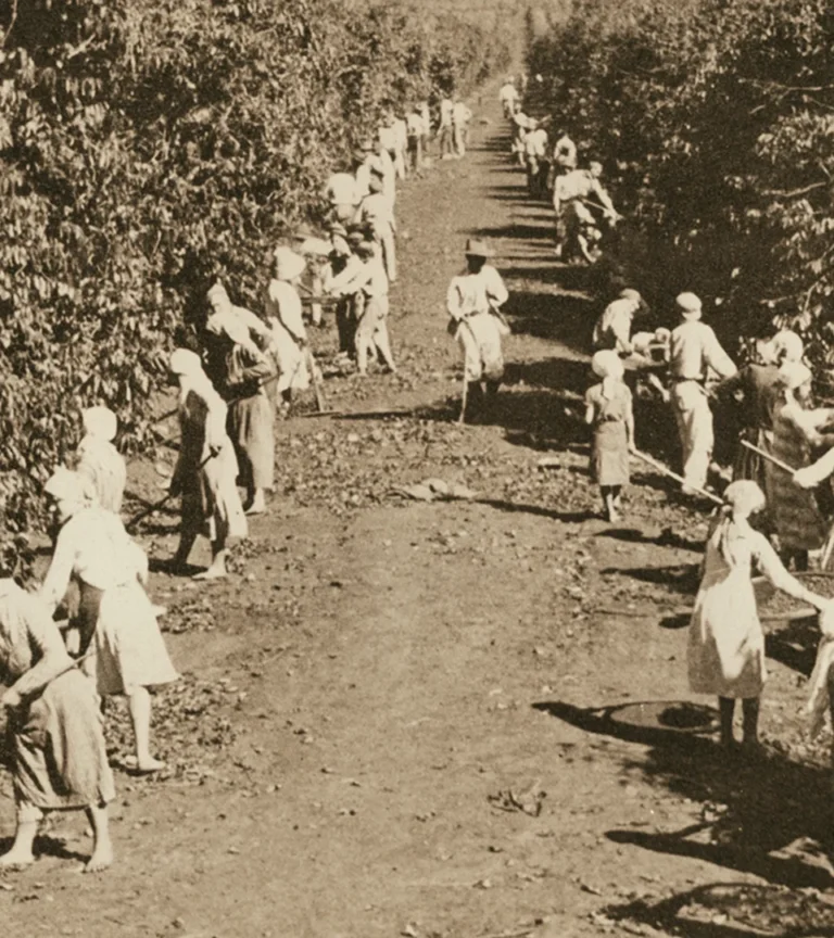 aboutus-montanari-002-1