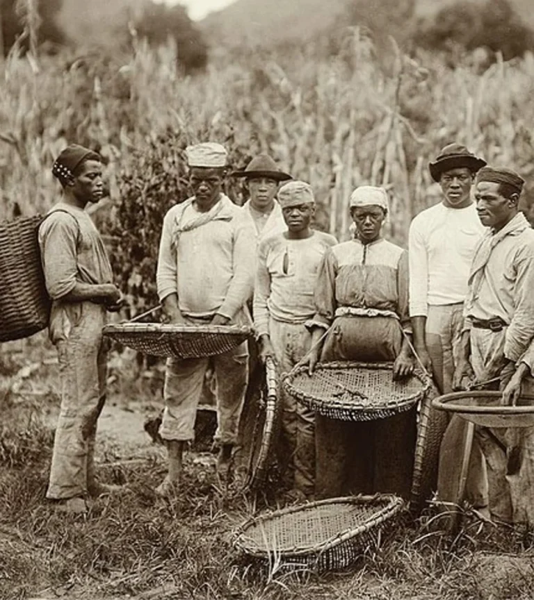 aboutus-montanari-003-1